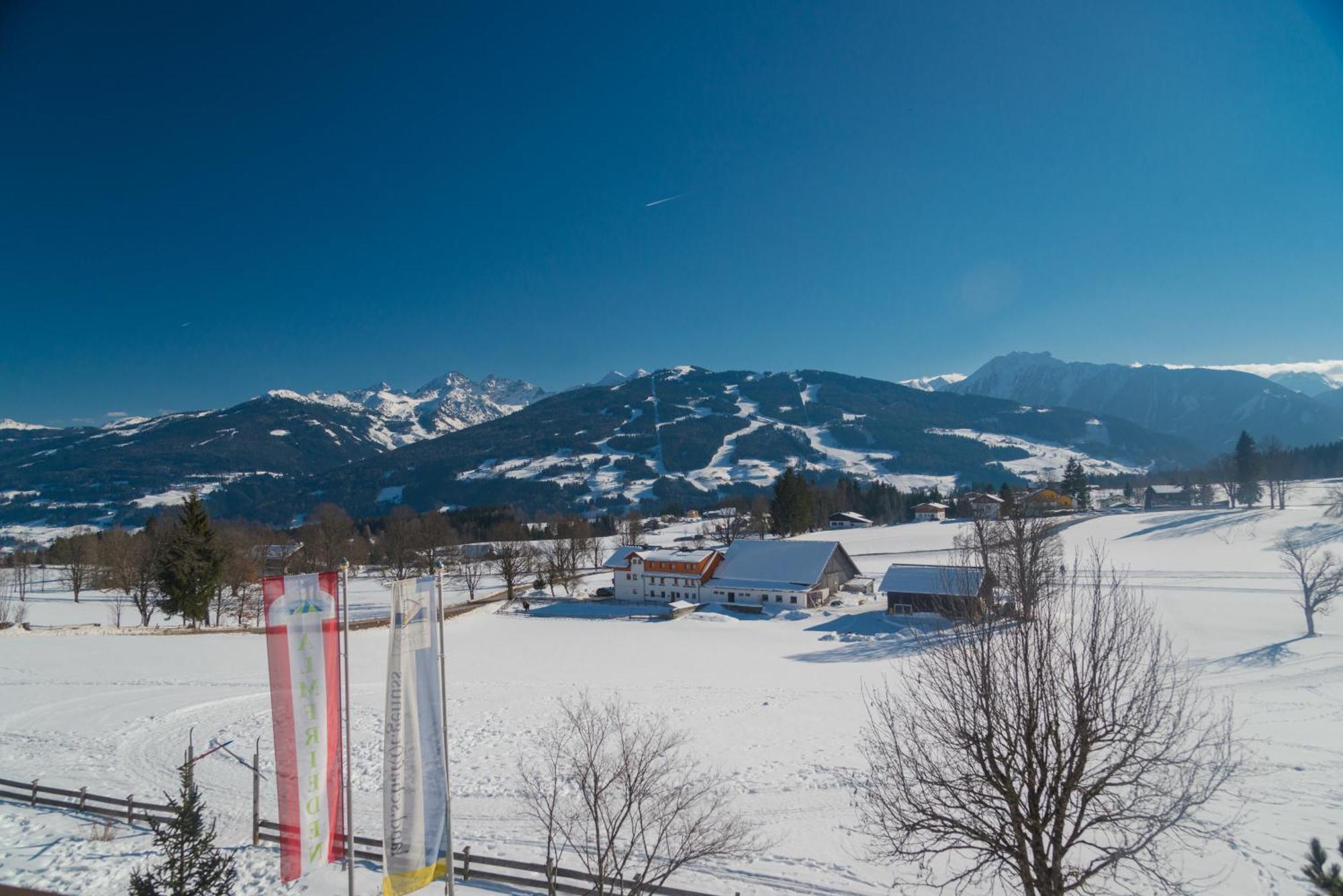 Almfrieden Hotel & Romantikchalet Ramsau am Dachstein Exterior photo